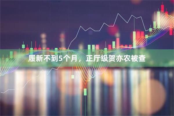 履新不到5个月，正厅级贺亦农被查